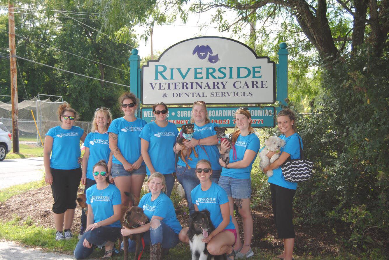 Rutland, VT 05701 Veterinarian - Riverside Veterinary Care
