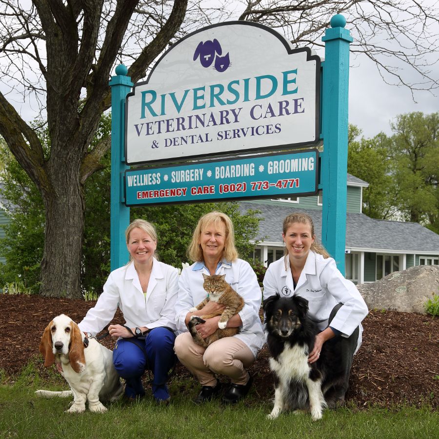 Rutland, VT 05701 Veterinarian - Riverside Veterinary Care