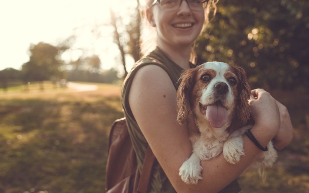 6 Tips For Responsible Dog Owners